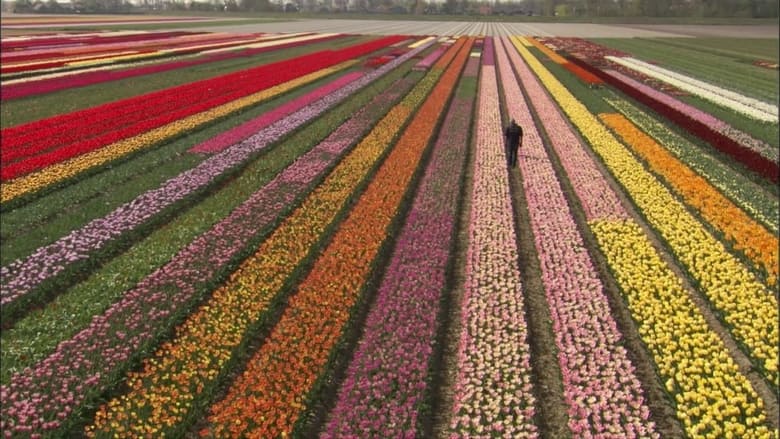 кадр из фильма Ботаника желания