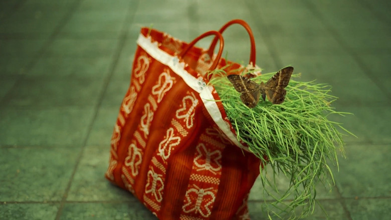 кадр из фильма Ausencias