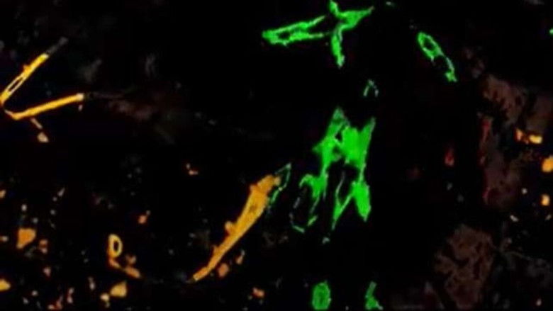 кадр из фильма Sliding Instance