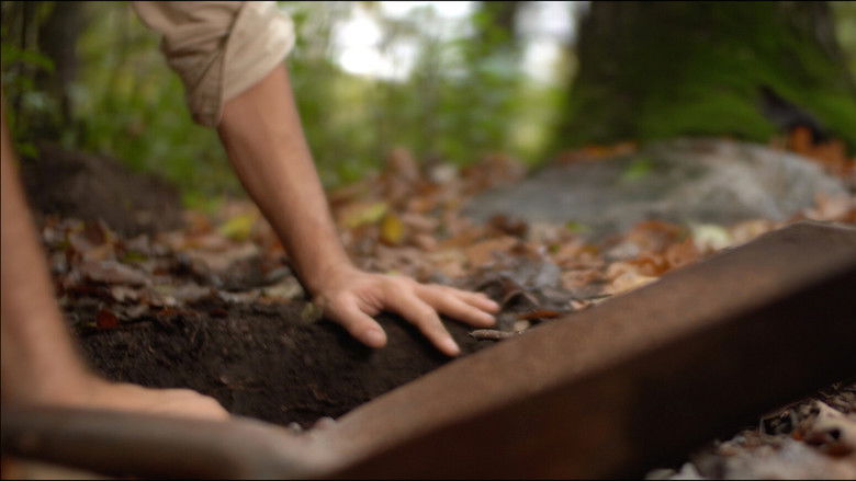 кадр из фильма Nordic Curse