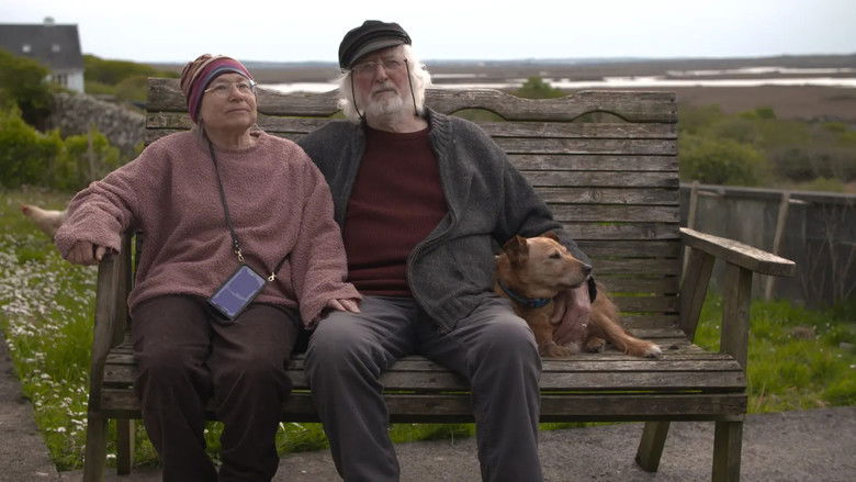 кадр из фильма Stolen Lives