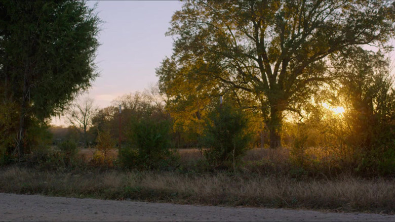 кадр из фильма Бенджи