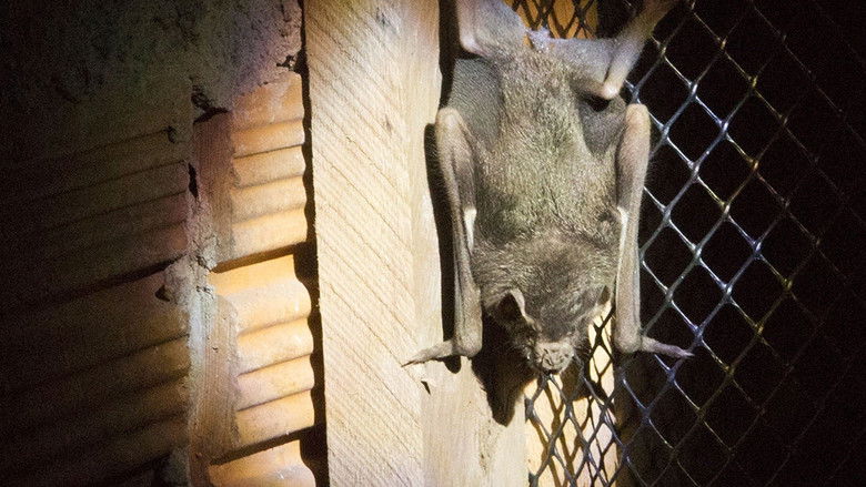 кадр из фильма Rabid