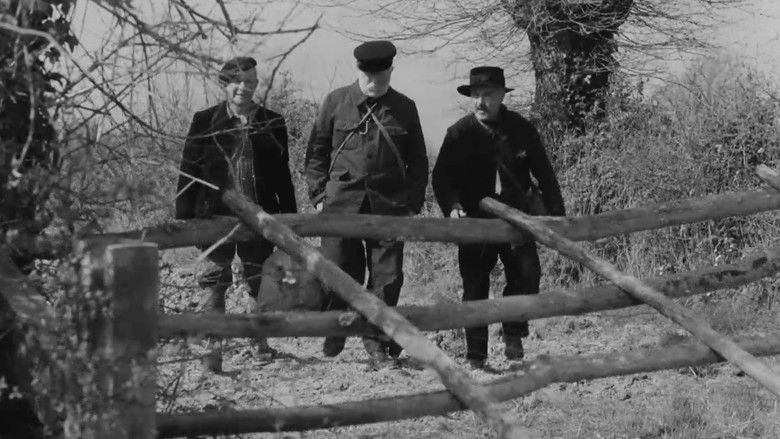 кадр из фильма Старая гвардия