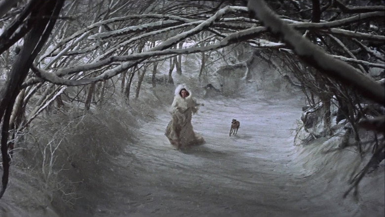 кадр из фильма Камелот