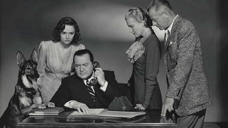 кадр из фильма Eyes in the Night