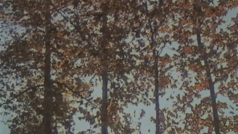 кадр из фильма Self Decapitation