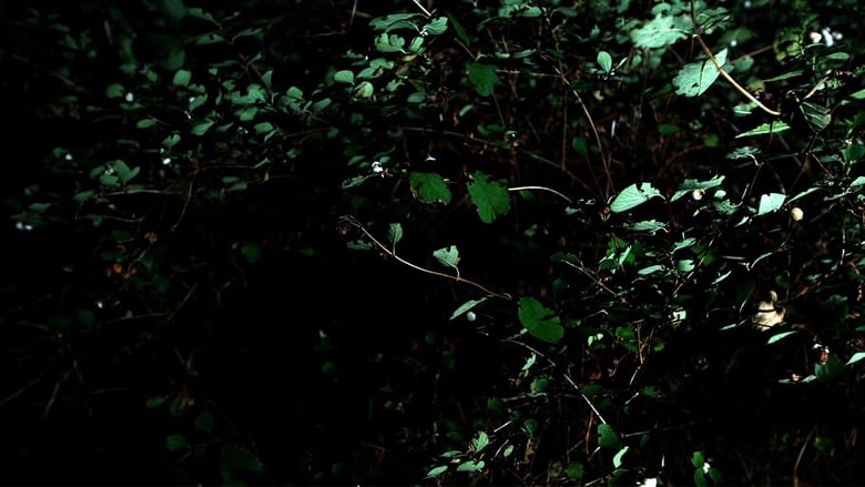 кадр из фильма Cyclothymia of a Land