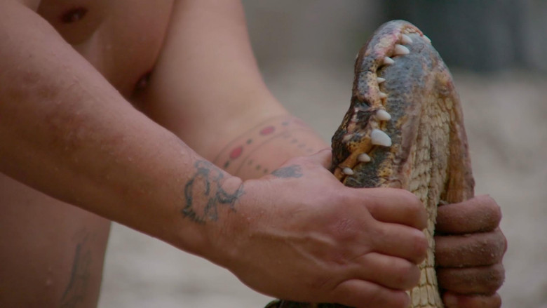 кадр из фильма Halpate