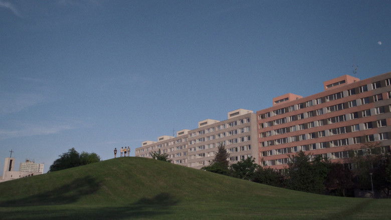 кадр из фильма léto09