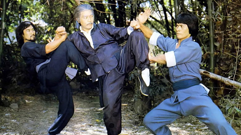 кадр из фильма 識英雄重英雄