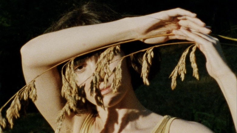 кадр из фильма Riconciliazione