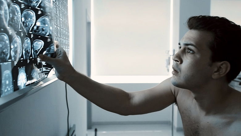 Инкарнация