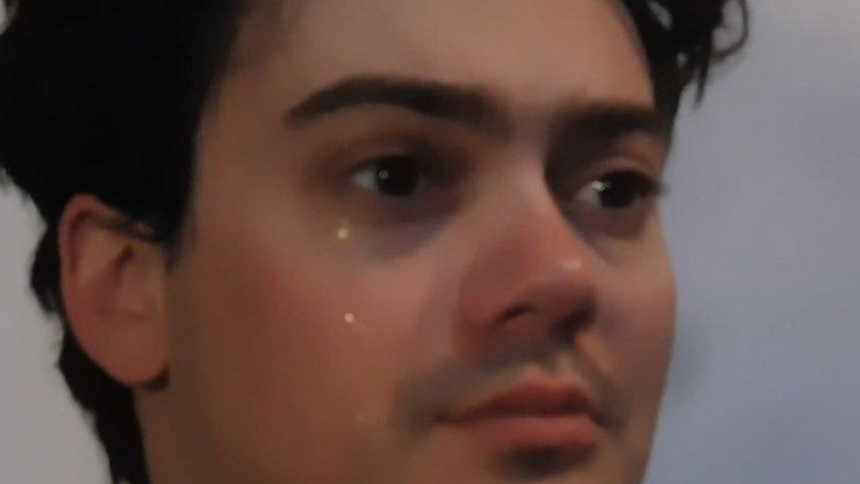 кадр из фильма sacha_butterfly_hypno_reconstruction1.mp4