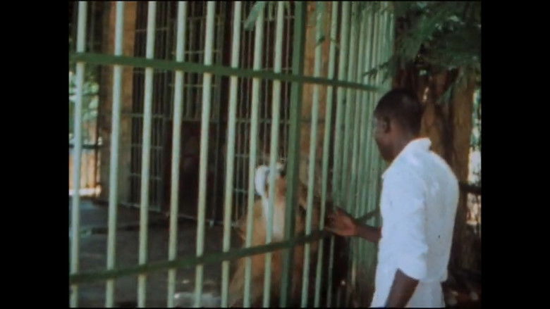 кадр из фильма Zomo et ses frères