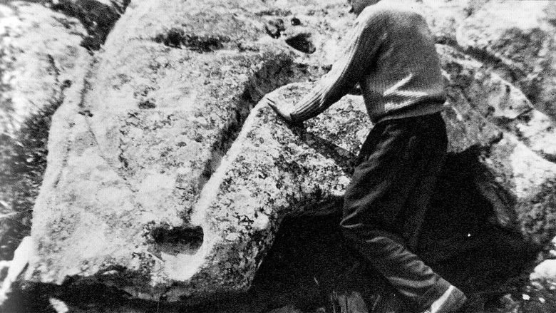 кадр из фильма Furada Negra