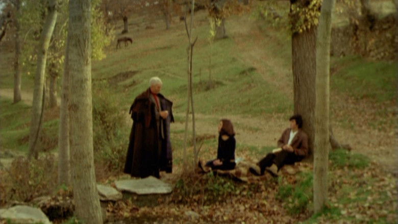 кадр из фильма Veredas