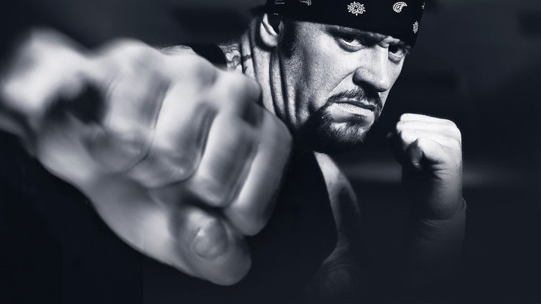 кадр из фильма WWE Vengeance 2003