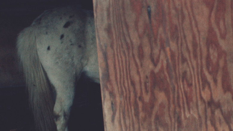 кадр из фильма Horseflesh