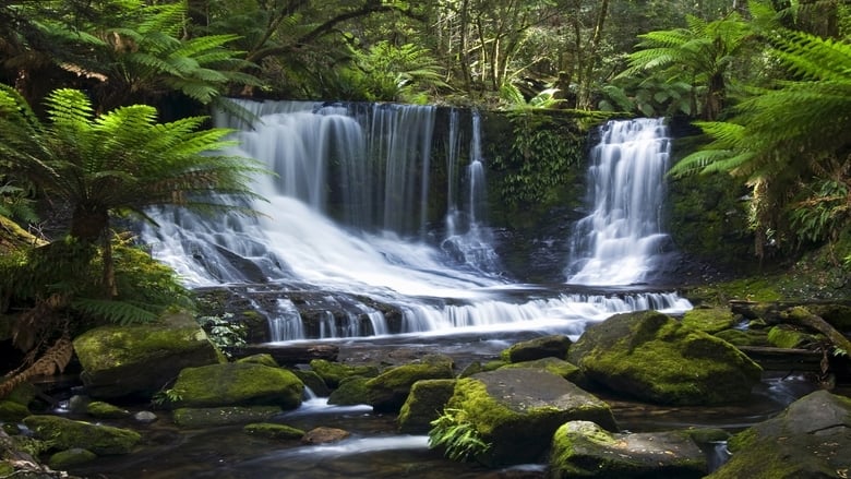 Wilde Paradiese - Tasmanien: Land der Teufel