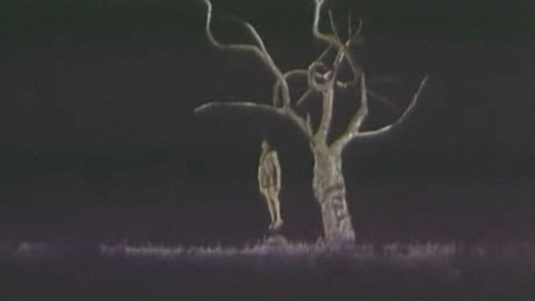 кадр из фильма Большое ночное купание