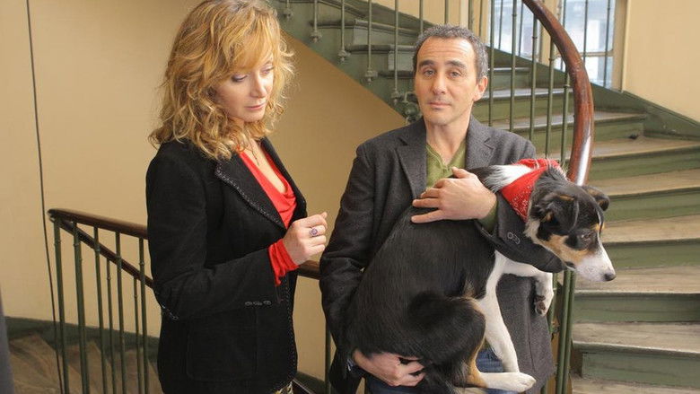 кадр из фильма Un divorce de chien