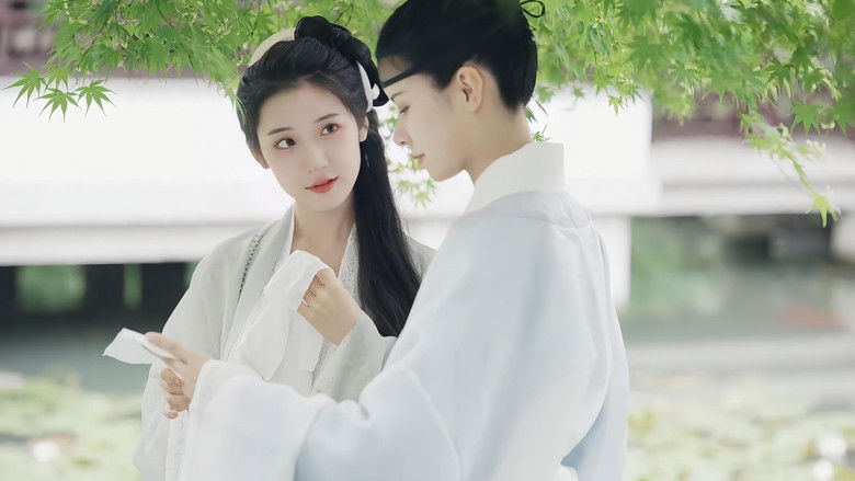 кадр из фильма 九世狸奴的寻找