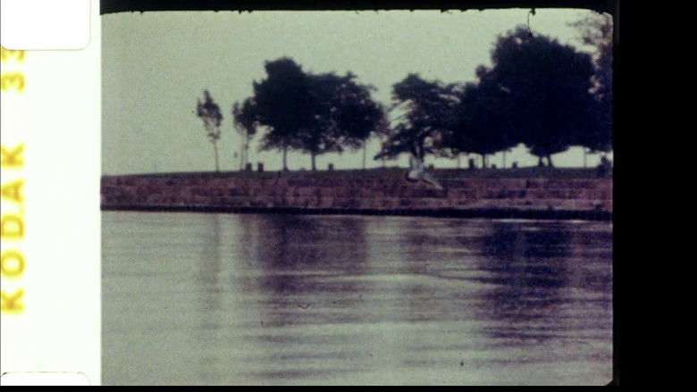 кадр из фильма Echoed Silence