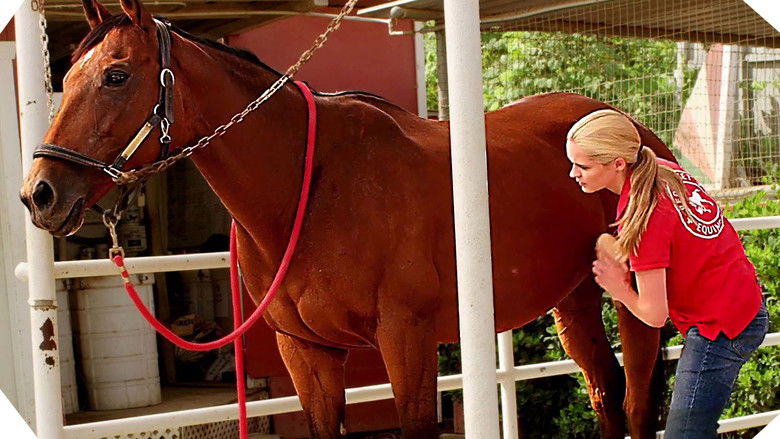 кадр из фильма Шанс Эммы