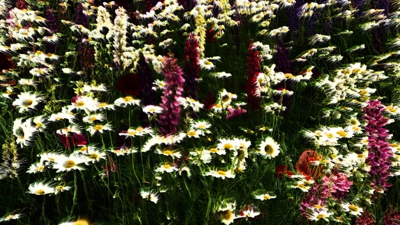 кадр из фильма Homenaje a la obra de Philip Henry Gosse