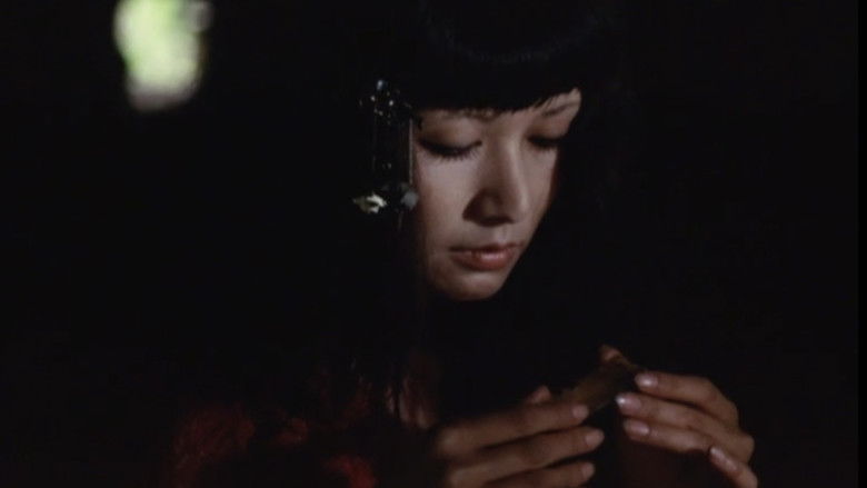 кадр из фильма 日本妖怪伝　サトリ