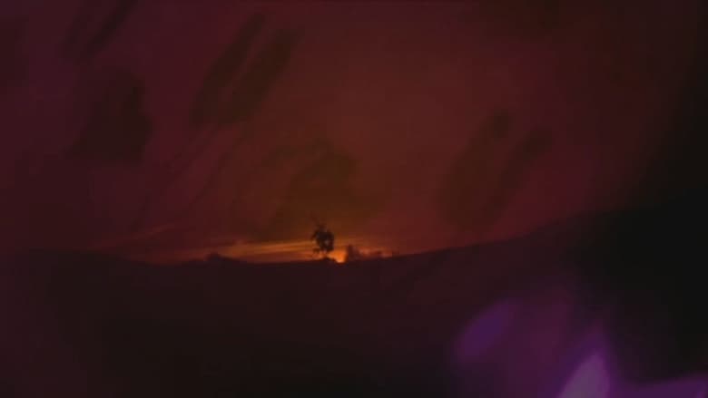 кадр из фильма Der tag der violetten sonne