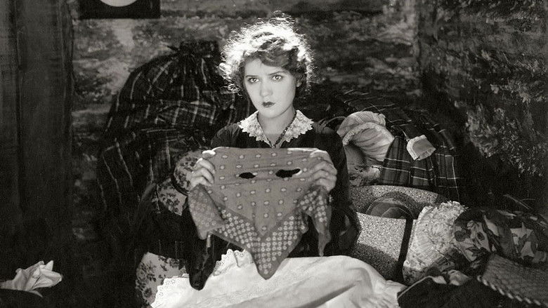 кадр из фильма A Romance of the Redwoods