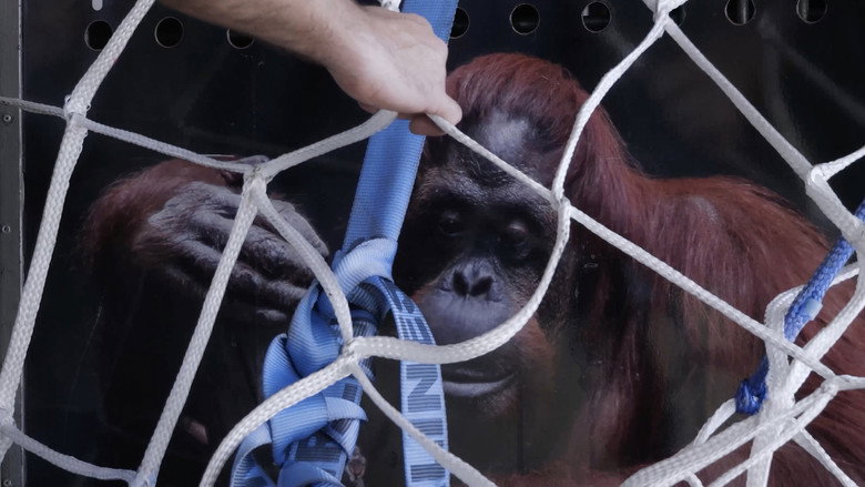 кадр из фильма 시민오랑