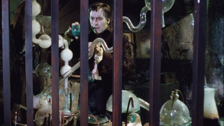 кадр из фильма Колодец и маятник