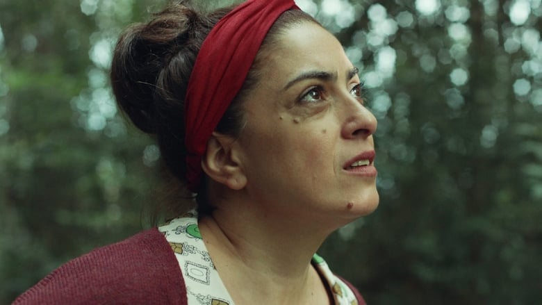 кадр из фильма La afinadora de árboles