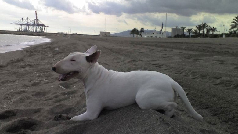 кадр из фильма Мертвая хватка