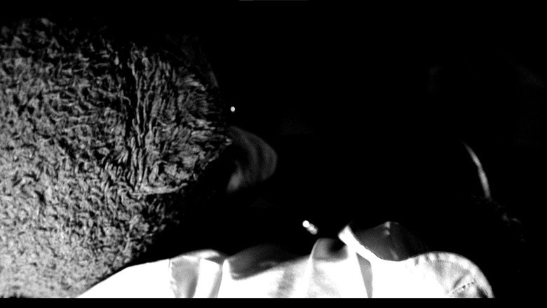 кадр из фильма Bear in Hell