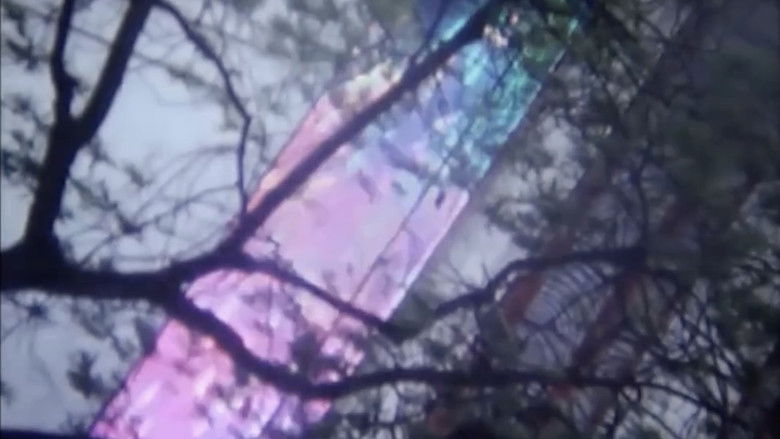 кадр из фильма Pastourelle