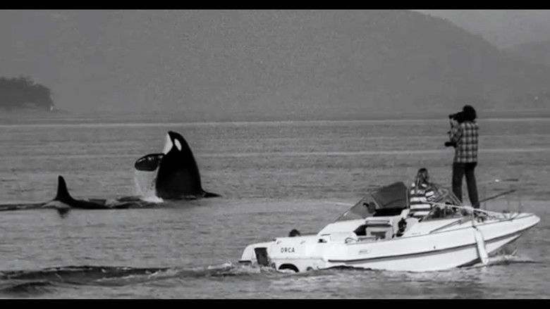 кадр из фильма The Snake and the Whale