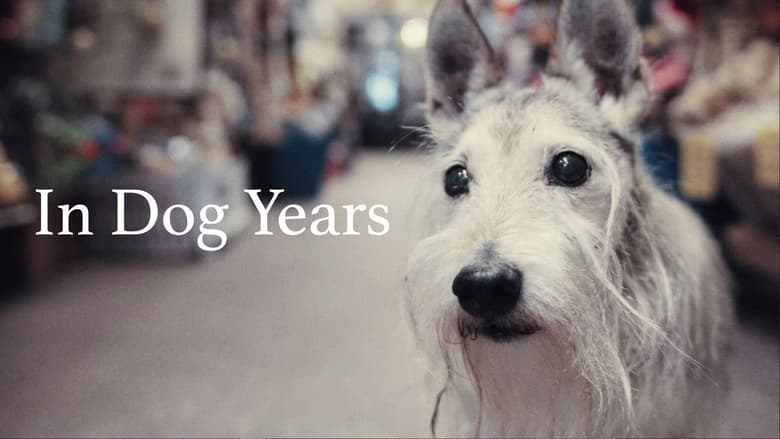 кадр из фильма In Dog Years