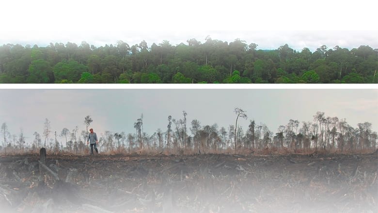 кадр из фильма Die grüne Lüge