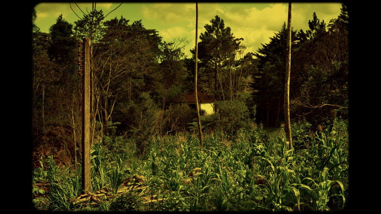 кадр из фильма Onírico