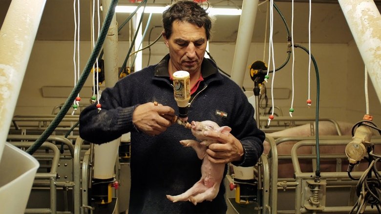 кадр из фильма Meat