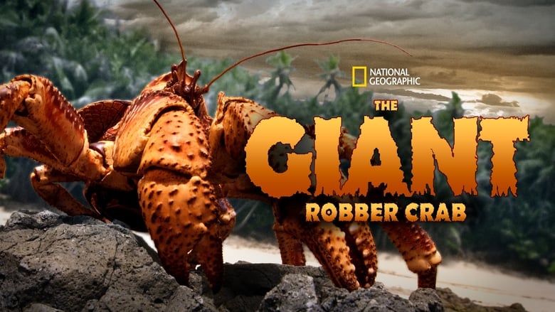 кадр из фильма The Giant Robber Crab