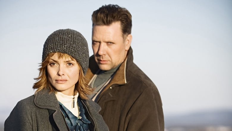 кадр из фильма Solstorm