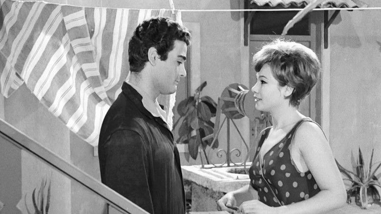 кадр из фильма Οι Κυρίες Της Αυλής