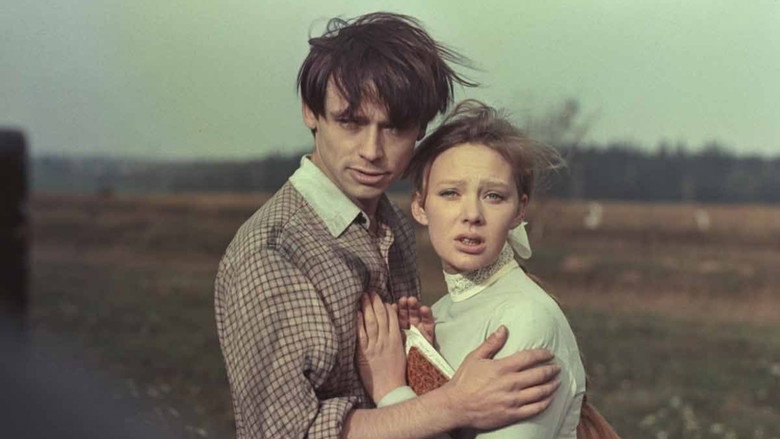 кадр из фильма Чайка