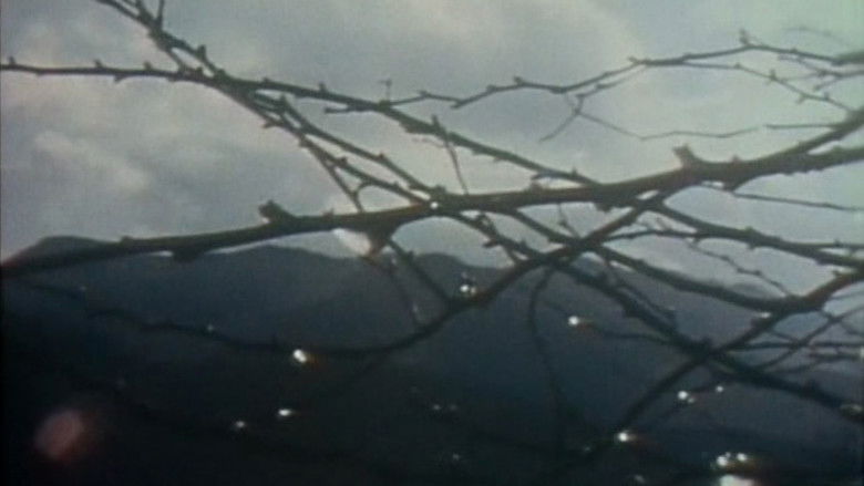 кадр из фильма 杣人物語