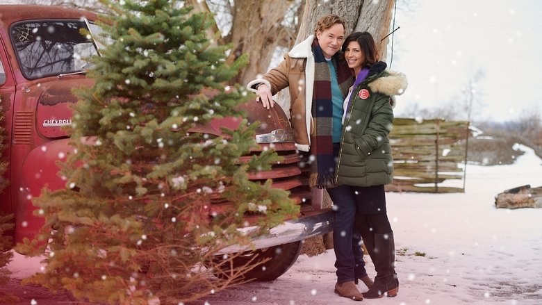 Рождественские каникулы